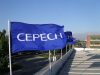 /album/banderas-para-campa%c3%b1as-politicas-%28-todas-las-medidas-%29/bandera-cepech-jpg/